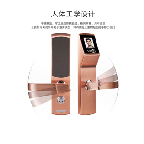 【帝曼欧Dimanou】人脸识别锁，指纹密码锁，密码锁，面部识别锁，高档锁