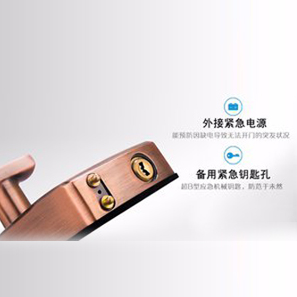 【帝曼欧Dimanou】家居人脸识别锁 高档别墅智能锁 防盗锁