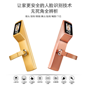 【帝曼欧Dimanou】人脸识别锁 防盗门电子密码锁非指纹锁 家用智能锁