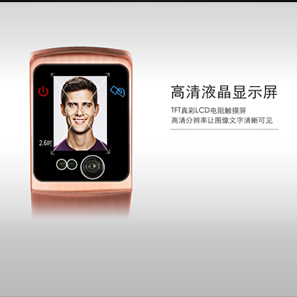 【帝曼欧Dimanou】人脸识别锁 生物识别人脸锁 智能家居门锁 密码锁 厂家直销门锁