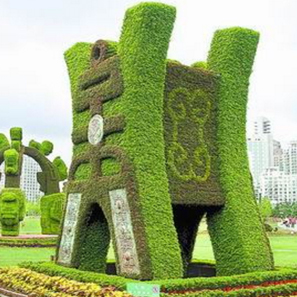 五色草  自然风景区 城市主题公园