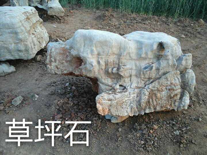 微信图片_20180308130533