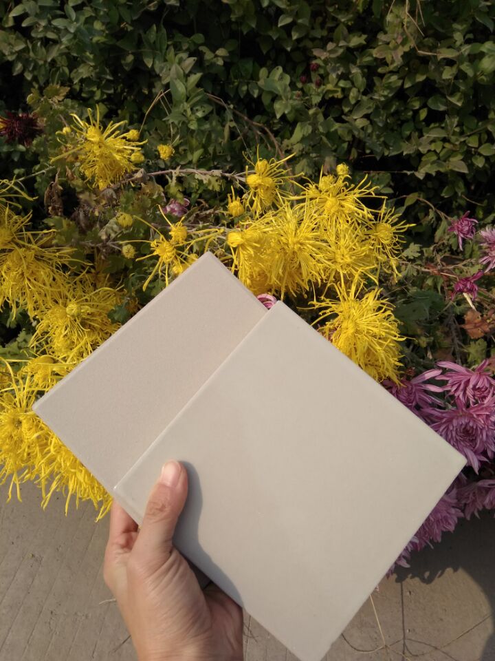 河南耐酸砖地面磨砂纹防滑耐酸地砖200*200地面防腐瓷砖