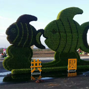 2018最新款五色草  专业设计制作 五色草工程