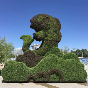 五色草新产品供应  形状设计 制作安装