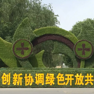 山西五色草 制作    设计安装一体  五色草供应