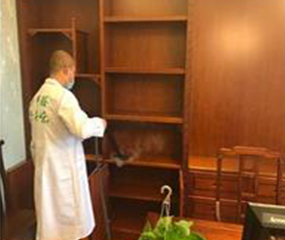 除甲醛  初尔环保专业除甲醛公司