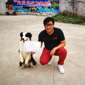 明星合影 宠物训练 宠物寄养