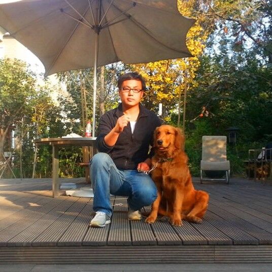 宠物训练 北京上门训犬