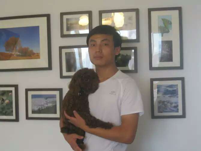 宠物训练 北京上门训犬