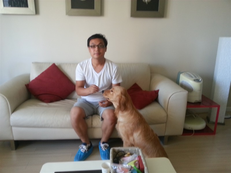 宠物训练 北京上门训犬