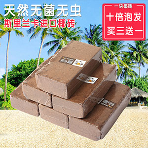 锦秀有机椰砖养花肥料营养土椰土椰糠多肉土壤植物通用花肥种植土