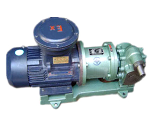 无泄漏泵磁力驱动齿轮泵