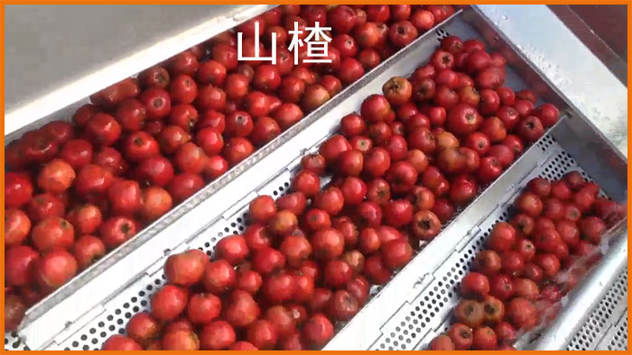 气泡清洗机[00_00_27][20190224-150838]