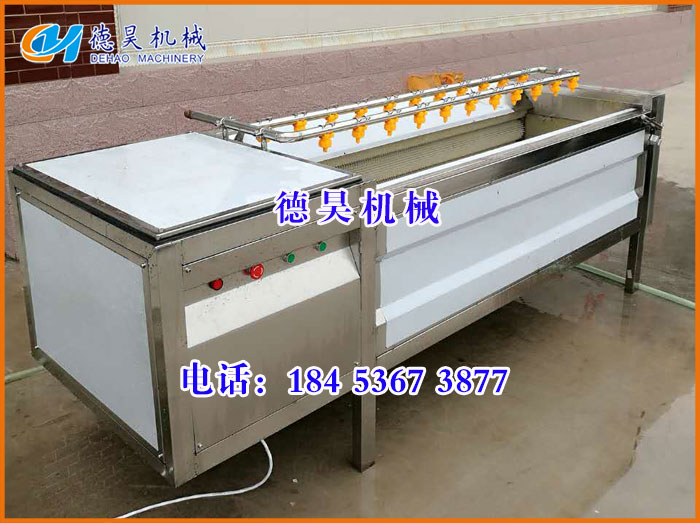 芋头毛辊清洗机