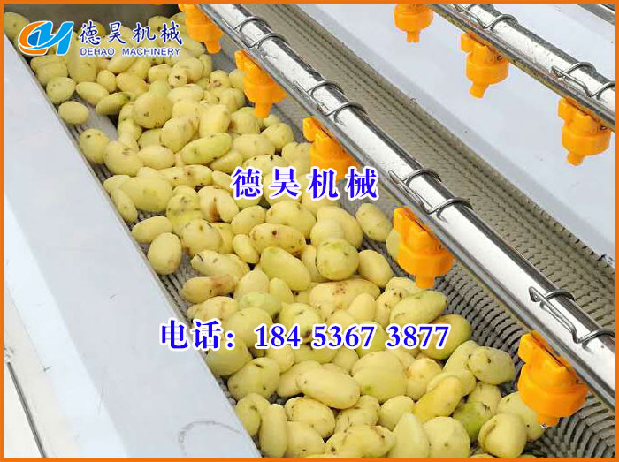 芋头毛辊清洗机2