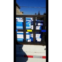 野生开膛小白条