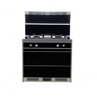 A8 集成灶 集成灶厂家