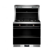 800X1 集成灶  集成灶厂家