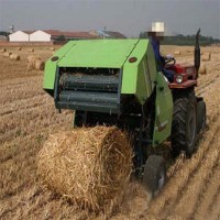 新型高效玉米秸秆青储机首选康杰农业机械