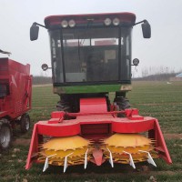 多功能自走式秸秆粉碎青贮机 农业机械青储机厂家直销