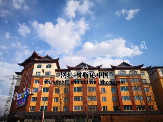 树脂瓦 合成树脂瓦  树脂瓦厂家  树脂瓦厂家直销