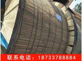 电力钢芯铝绞线　电力钢芯铝绞线厂家