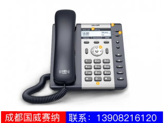 入门级IP电话机-A10A11
