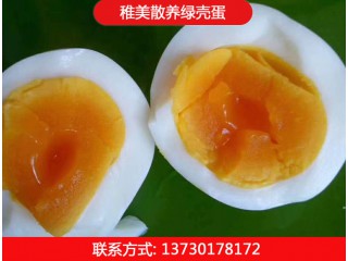 稚美禽业散养绿壳蛋