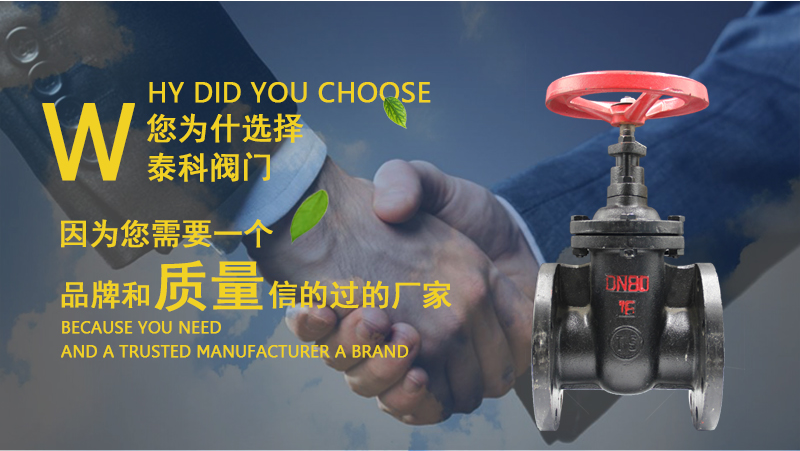 暗杆闸阀Z45T-16_02