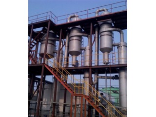 新旺化工（氯化钠蒸发器）