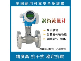 E+H F 200 涡轮蒸汽液体流量计 涡街质量流量计数显高精度传感器