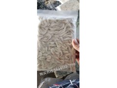 秀丽白虾图2