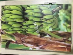 铝单板 铝单板厂家 铝单板价格 造型铝单板 彩绘铝单板图2