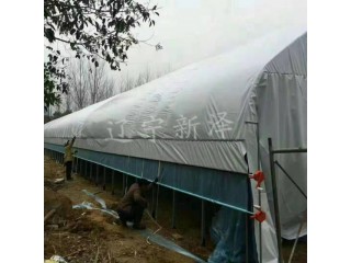 养殖大棚厂家   养殖温室大棚  温室养殖大棚图2