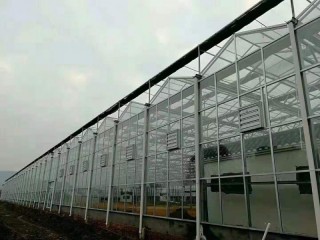 沈阳温室大棚， 厂家直销，现场折弯，辽沈地区免费送货，免费园区规划设计图2