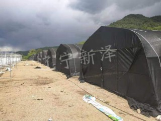 沈阳食用菌大棚厂家 温室大棚厂家图2