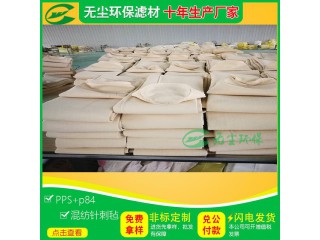厂家供应 PPS除尘布袋 耐腐蚀PPS除尘布袋 无尘环保图2
