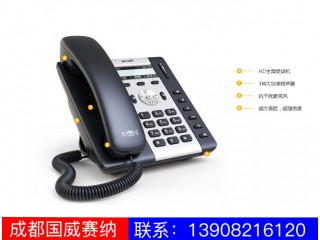 入门级IP电话机-A16图2