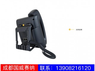 入门级IP电话机-A16图3