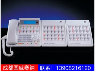 WS824-520C专用话机图2