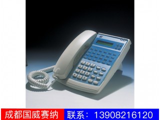 WS824-520E专用话机图3