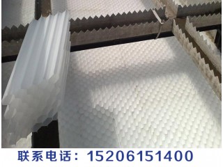 蜂窝斜管图2