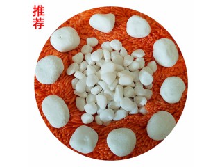 厂家直销雪花白石米 石米价格  石米厂家 水洗雪花白 精品白石米 天然鹅卵石图3