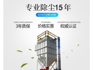 布袋式除尘器 生物质布袋锅炉除尘器方案-萧阳环保 20年一线经验图3