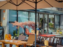 必备海选成都品茶工作室多家qt宝藏行程清单罗列