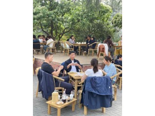 成都品茶最新喝茶攻略：这家青羊成都品茶工作室值得你专程探访