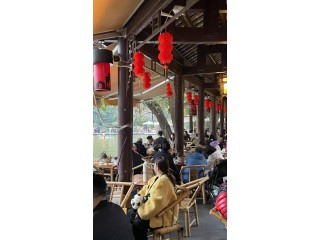 盘点成都品茶喝茶文化：探访成都品茶工作室体验巴蜀茶道精髓